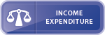 Income Expenditure Calculator